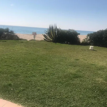 Amazing In Front Of The Sea
